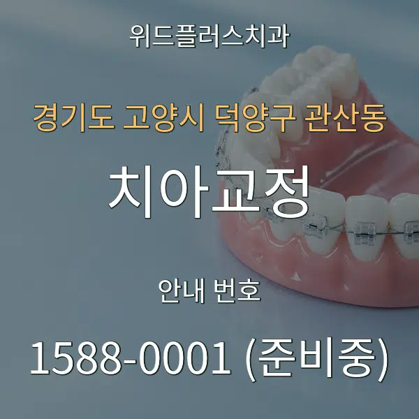 경기도 고양시 덕양구 관산동 치아교정 대표 안내 그래픽