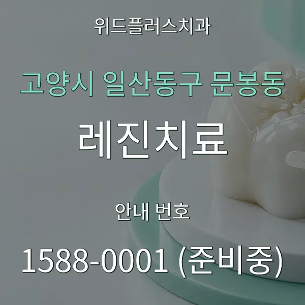 고양시 일산동구 문봉동 레진치료 대표 안내 그래픽