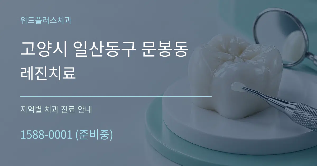 고양시 일산동구 문봉동 레진치료 대표 안내 그래픽