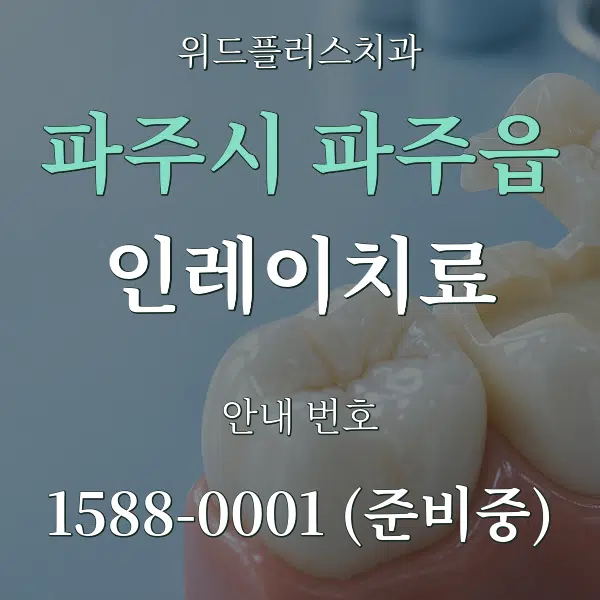 파주시 파주읍 인레이치료 대표 안내 그래픽
