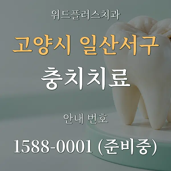 고양시 일산서구 충치치료 대표 안내 그래픽