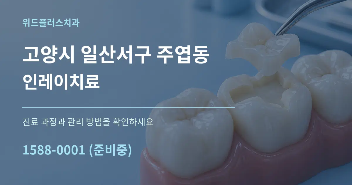 고양시 일산서구 주엽동 인레이치료 작업 조건 안내 그래픽