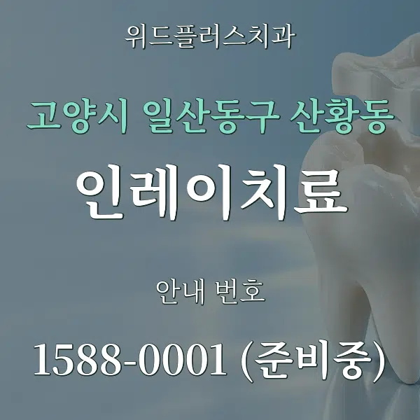 고양시 일산동구 산황동 인레이치료 대표 안내 그래픽