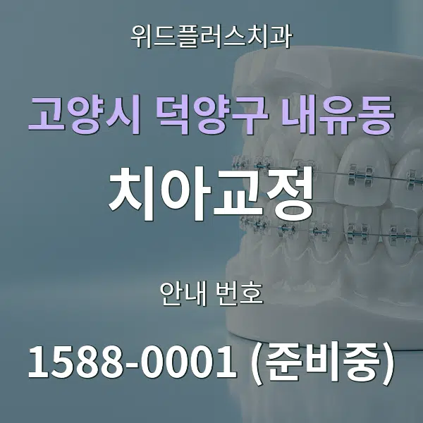 고양시 덕양구 내유동 치아교정 대표 안내 그래픽