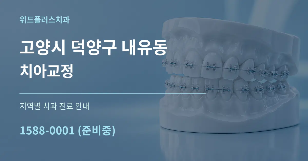 고양시 덕양구 내유동 치아교정 대표 안내 그래픽