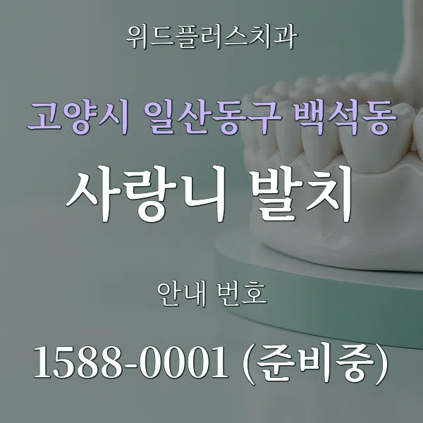 고양시 일산동구 백석동 사랑니 발치 대표 안내 그래픽