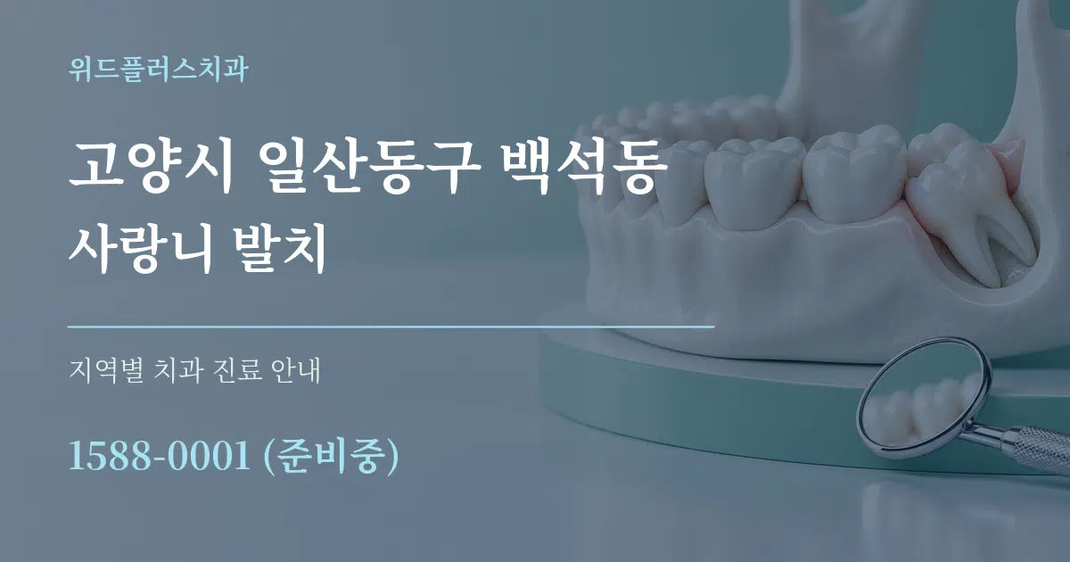 고양시 일산동구 백석동 사랑니 발치 대표 안내 그래픽
