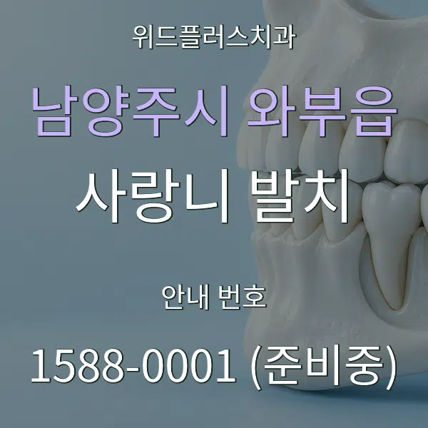 남양주시 와부읍 사랑니 발치 대표 안내 그래픽
