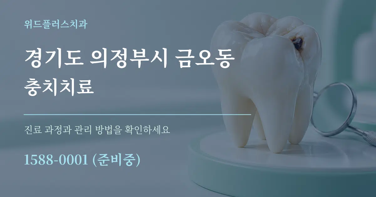 경기도 의정부시 금오동 충치치료 작업 조건 안내 그래픽