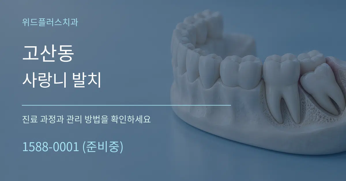 고산동 사랑니 발치 서비스 이용 안내 그래픽