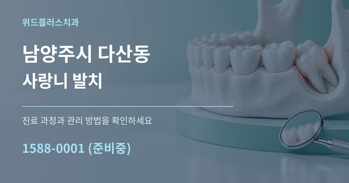 남양주시 다산동 사랑니 발치 서비스 이용 안내 그래픽