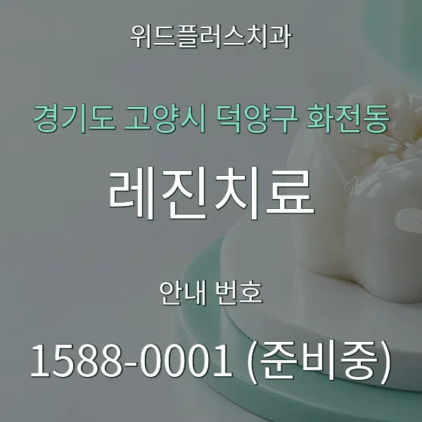 경기도 고양시 덕양구 화전동 레진치료 대표 안내 그래픽