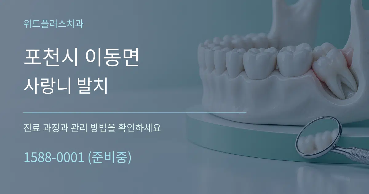 포천시 이동면 사랑니 발치 작업 조건 안내 그래픽