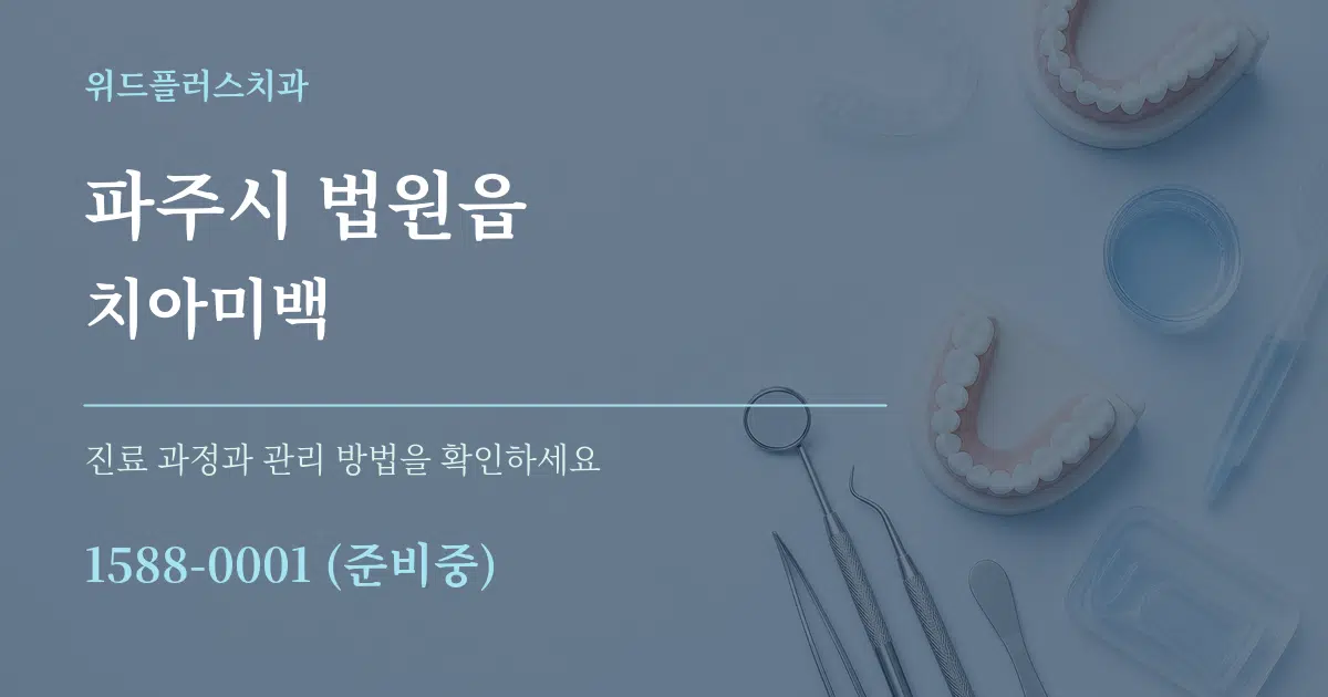 파주시 법원읍 치아미백 서비스 이용 안내 그래픽