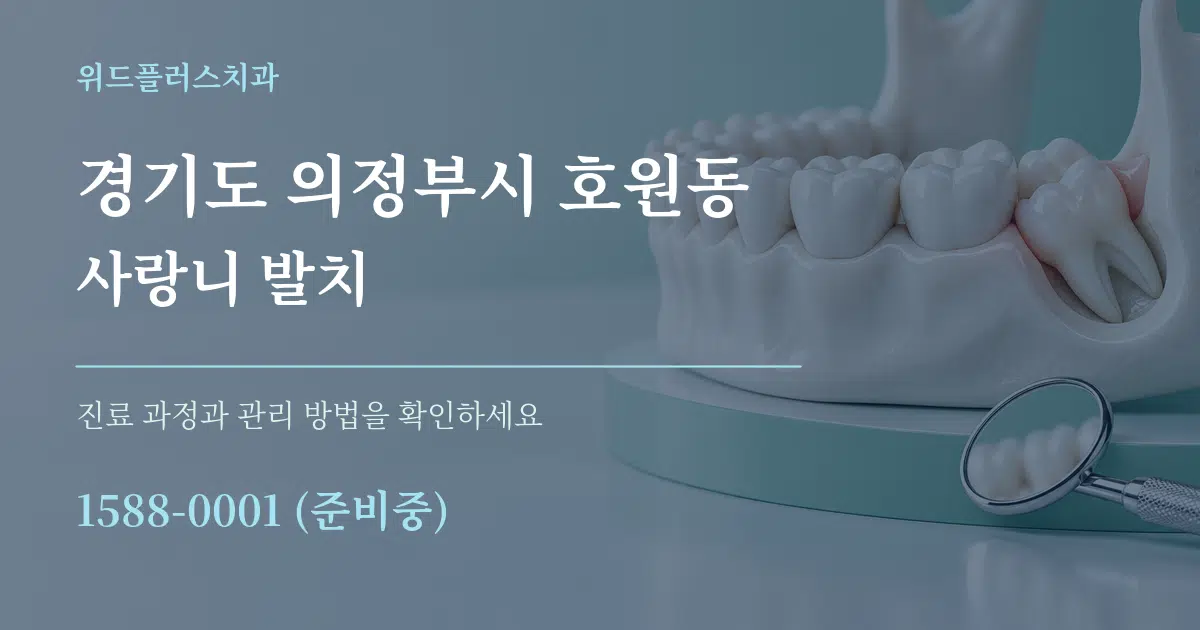 경기도 의정부시 호원동 사랑니 발치 서비스 이용 안내 그래픽