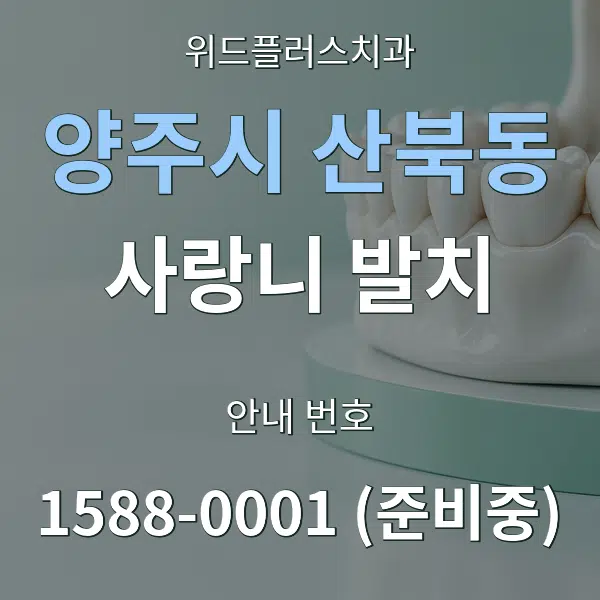 양주시 산북동 사랑니 발치 대표 안내 그래픽