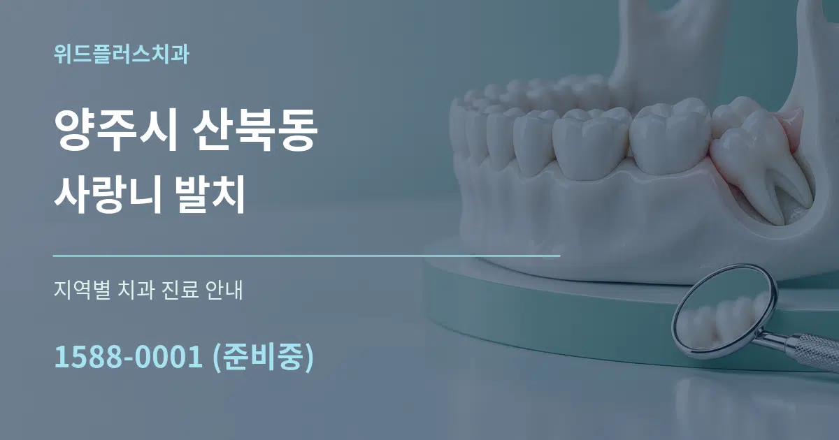 양주시 산북동 사랑니 발치 대표 안내 그래픽