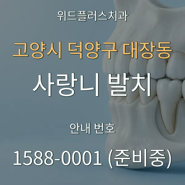 고양시 덕양구 대장동 사랑니 발치 대표 안내 그래픽
