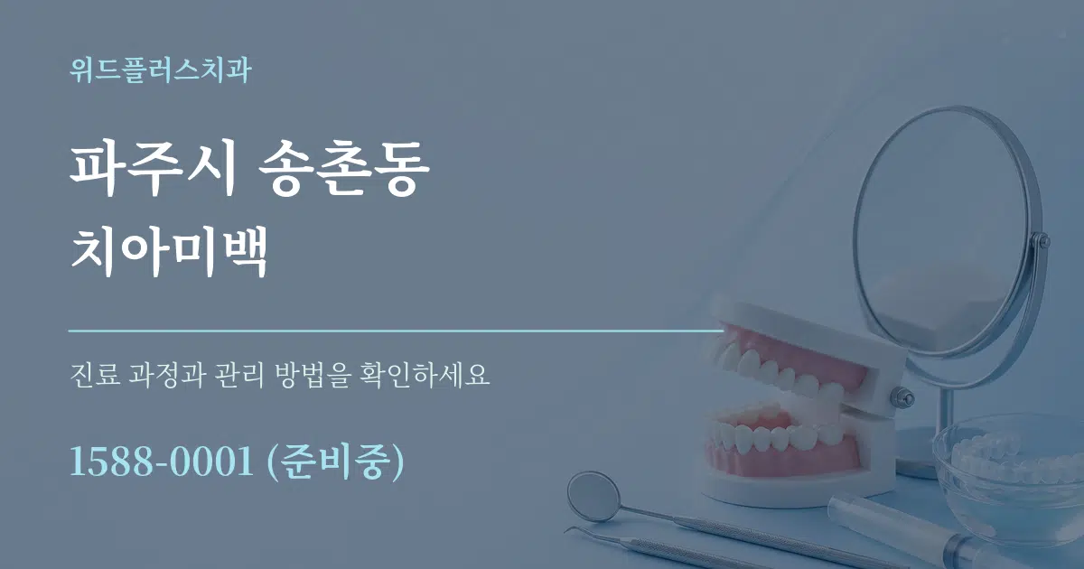 파주시 송촌동 치아미백 서비스 이용 안내 그래픽