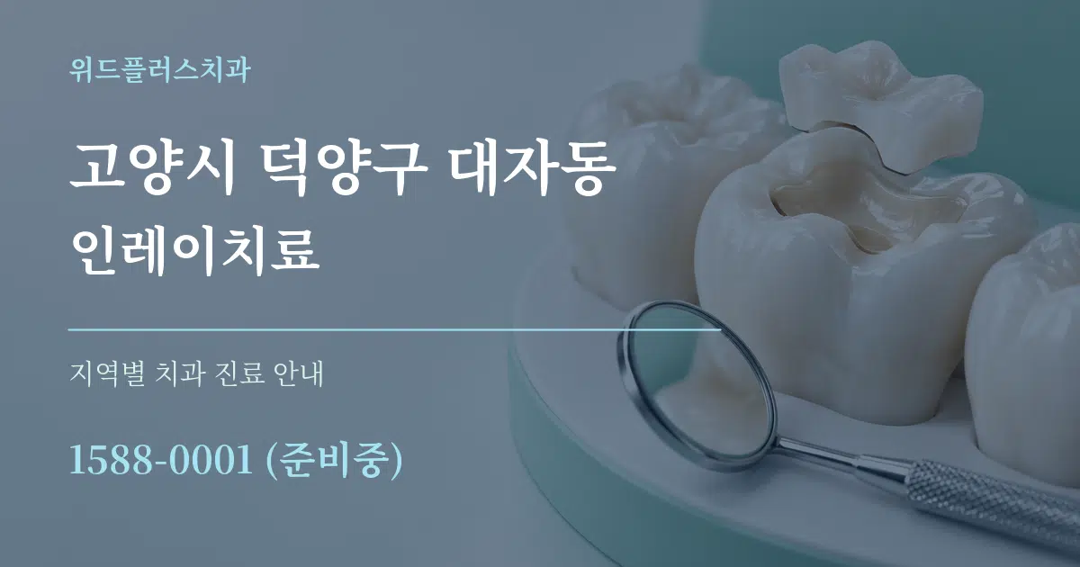 고양시 덕양구 대자동 인레이치료 대표 안내 그래픽