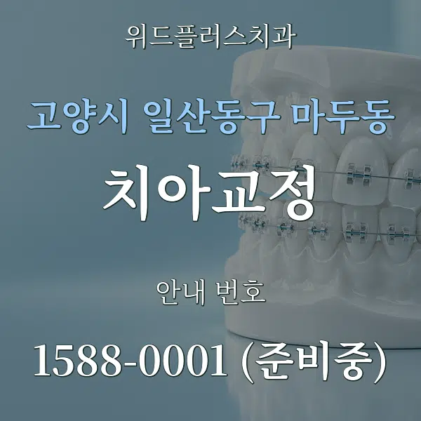 고양시 일산동구 마두동 치아교정 대표 안내 그래픽