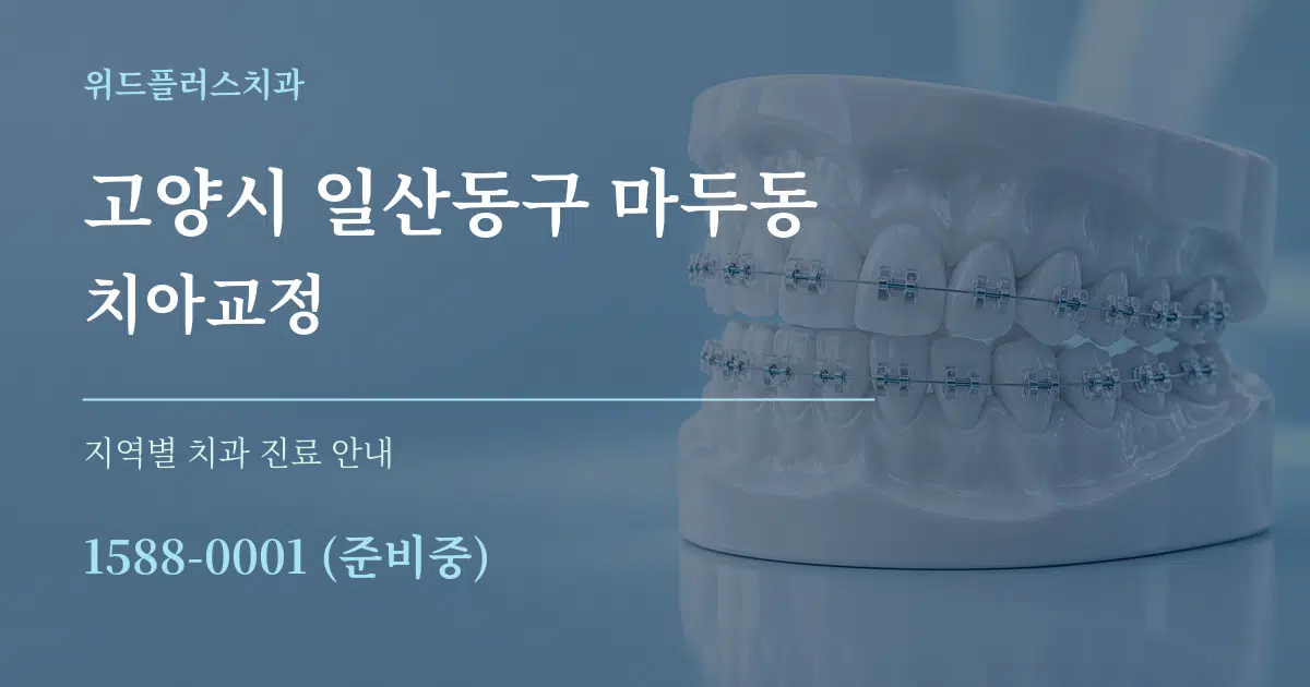 고양시 일산동구 마두동 치아교정 대표 안내 그래픽