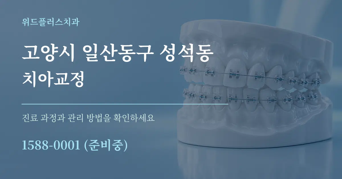 고양시 일산동구 성석동 치아교정 작업 조건 안내 그래픽