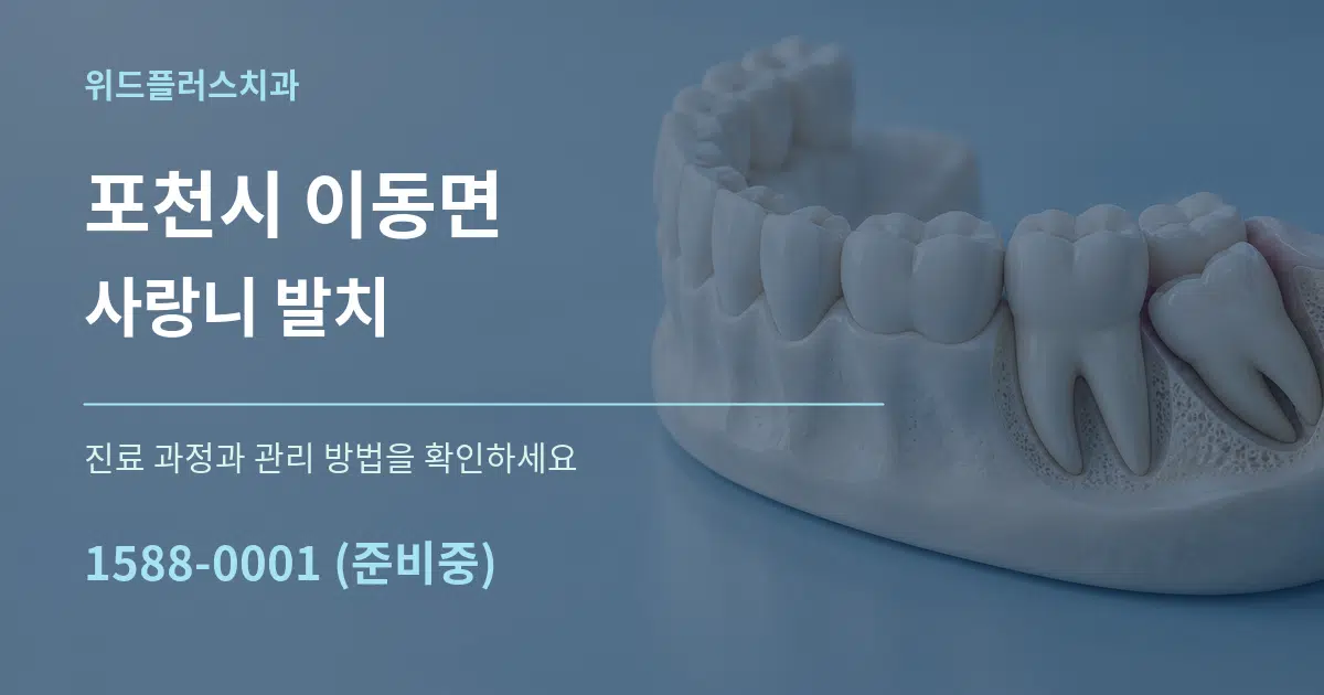 포천시 이동면 사랑니 발치 서비스 이용 안내 그래픽