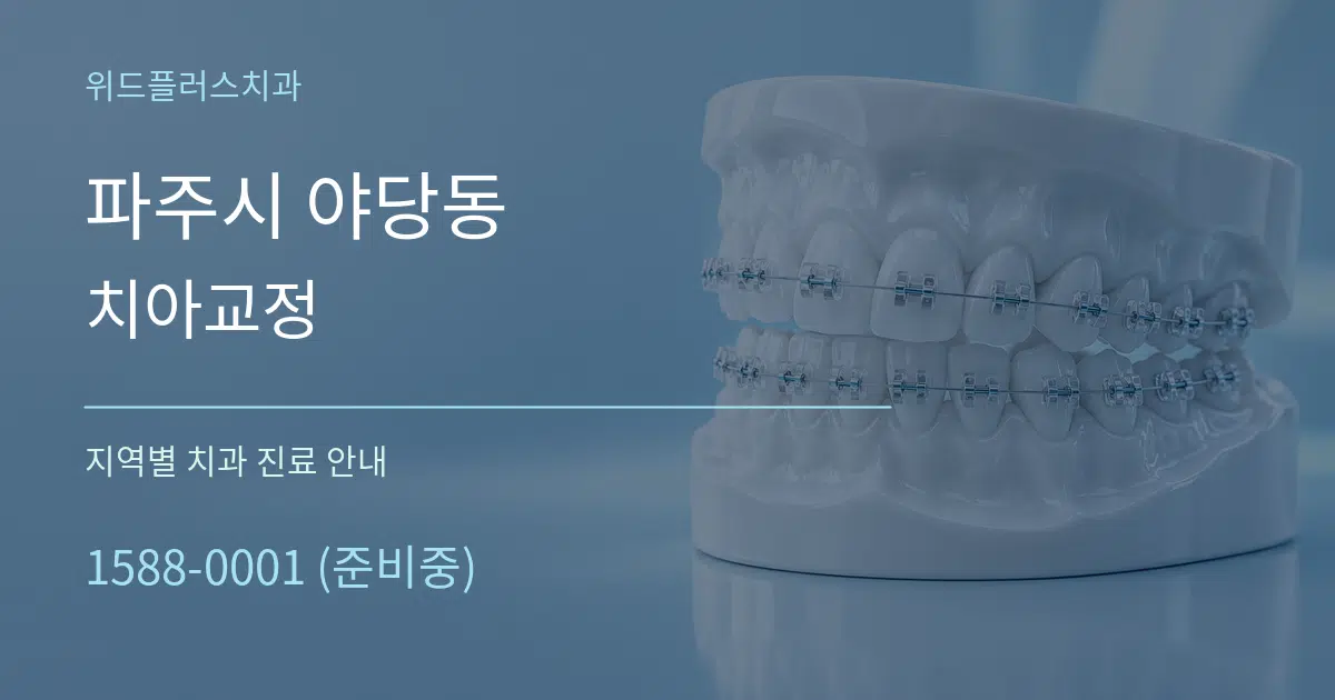 파주시 야당동 치아교정 대표 안내 그래픽