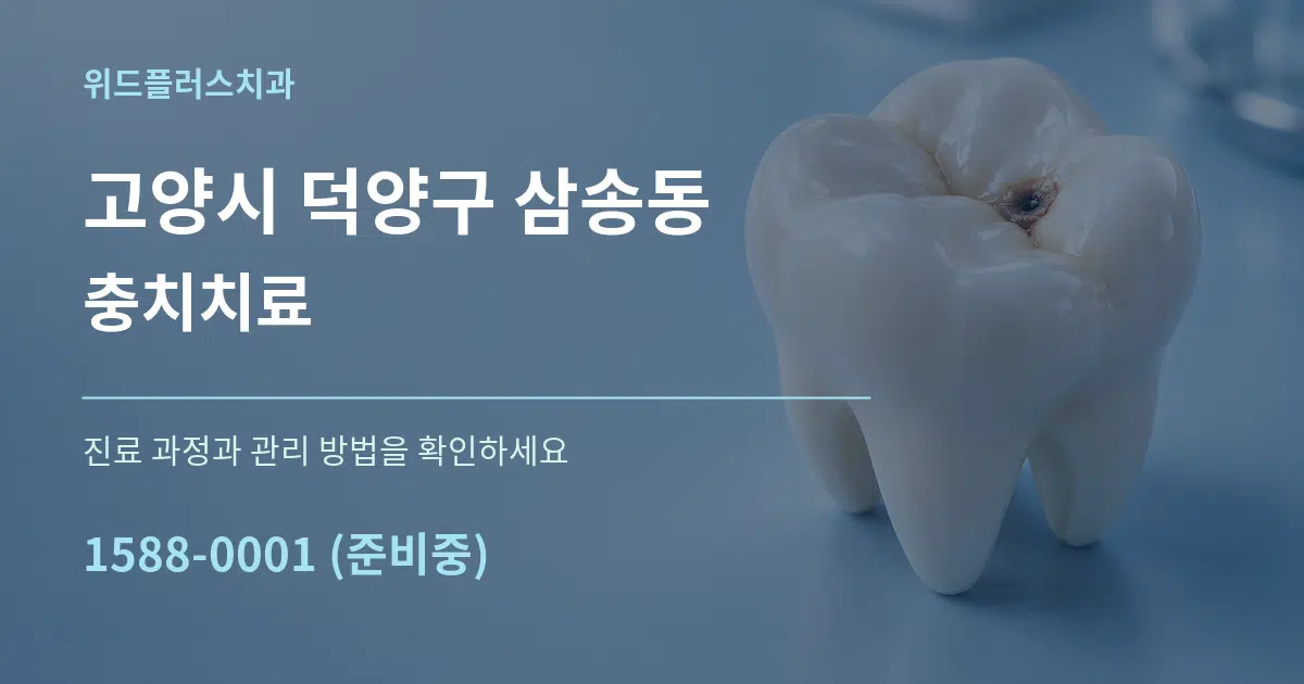 고양시 덕양구 삼송동 충치치료 작업 조건 안내 그래픽