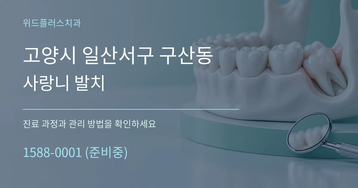 고양시 일산서구 구산동 사랑니 발치 작업 조건 안내 그래픽