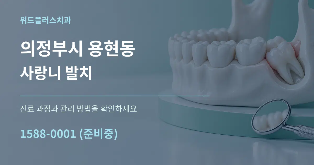 의정부시 용현동 사랑니 발치 서비스 이용 안내 그래픽