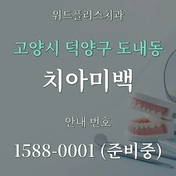고양시 덕양구 도내동 치아미백 대표 안내 그래픽