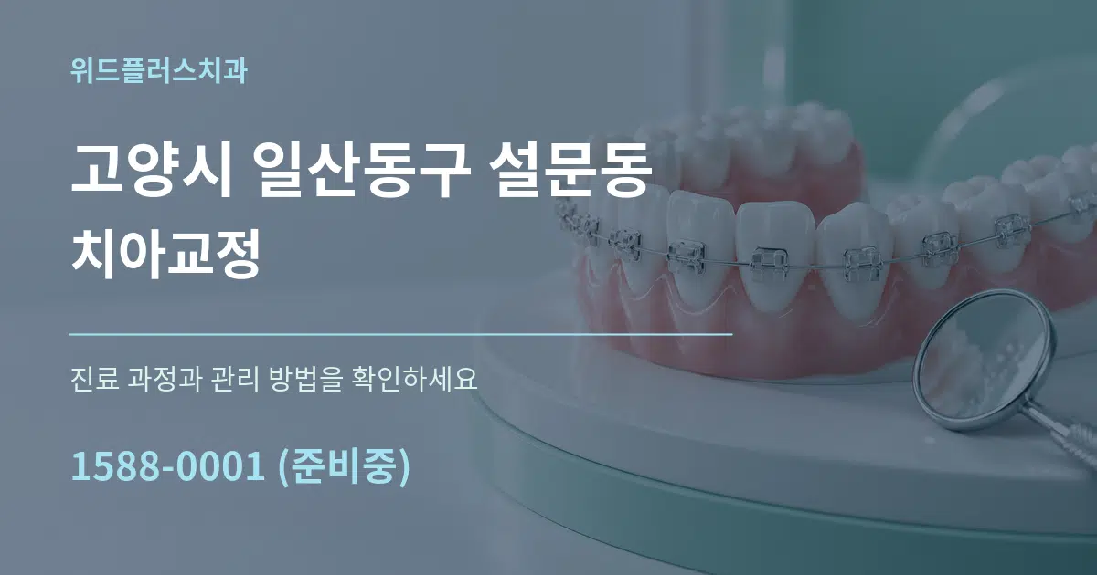 고양시 일산동구 설문동 치아교정 작업 조건 안내 그래픽