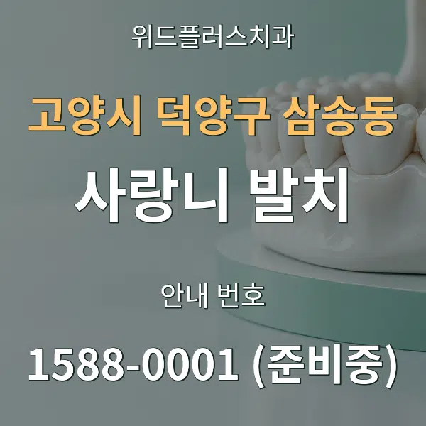 고양시 덕양구 삼송동 사랑니 발치 대표 안내 그래픽