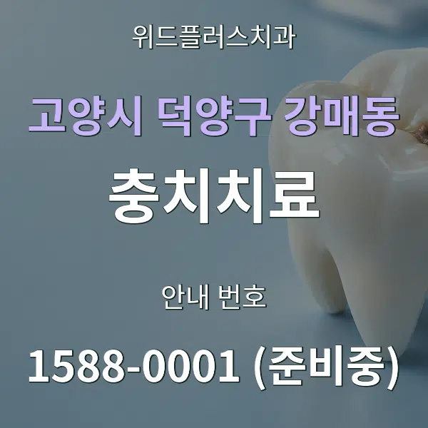 고양시 덕양구 강매동 충치치료 대표 안내 그래픽