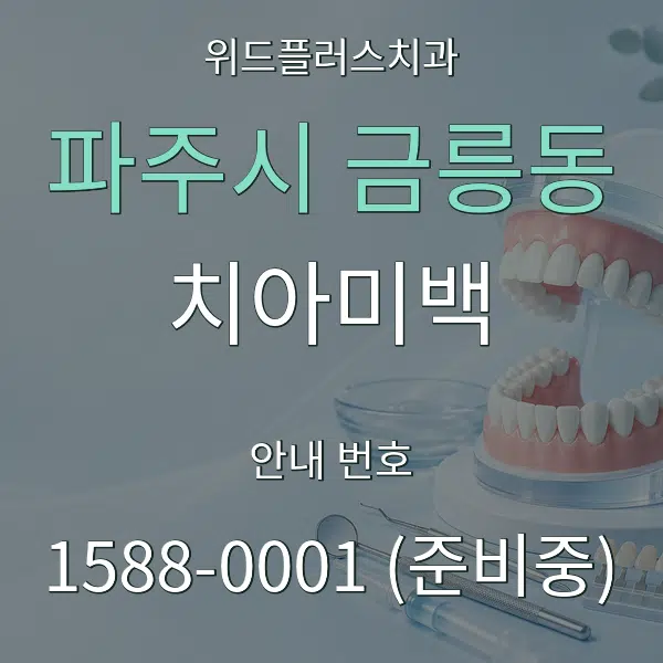 파주시 금릉동 치아미백 대표 안내 그래픽