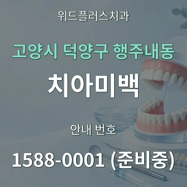 고양시 덕양구 행주내동 치아미백 대표 안내 그래픽