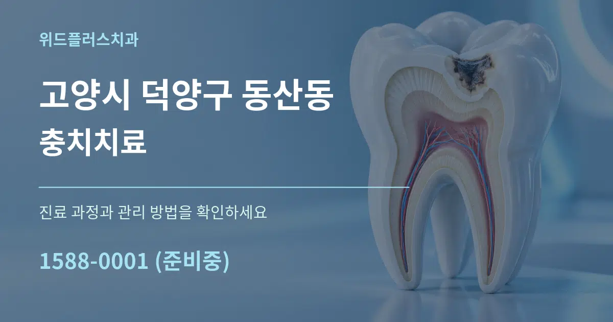고양시 덕양구 동산동 충치치료 작업 조건 안내 그래픽