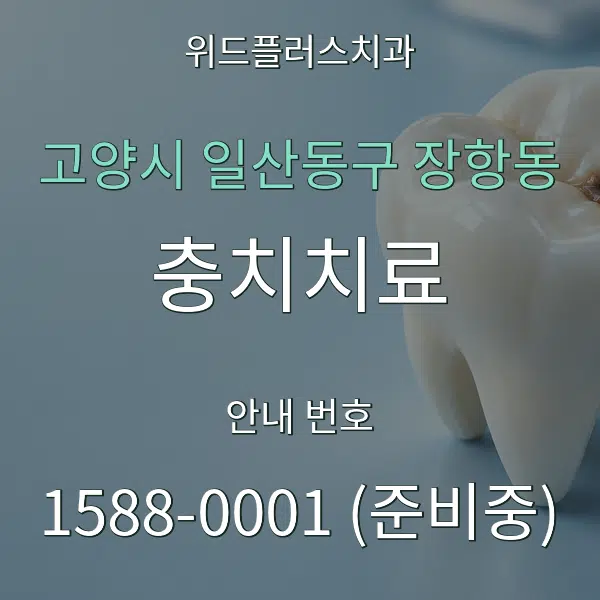고양시 일산동구 장항동 충치치료 대표 안내 그래픽