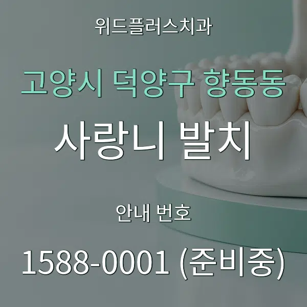 고양시 덕양구 향동동 사랑니 발치 대표 안내 그래픽