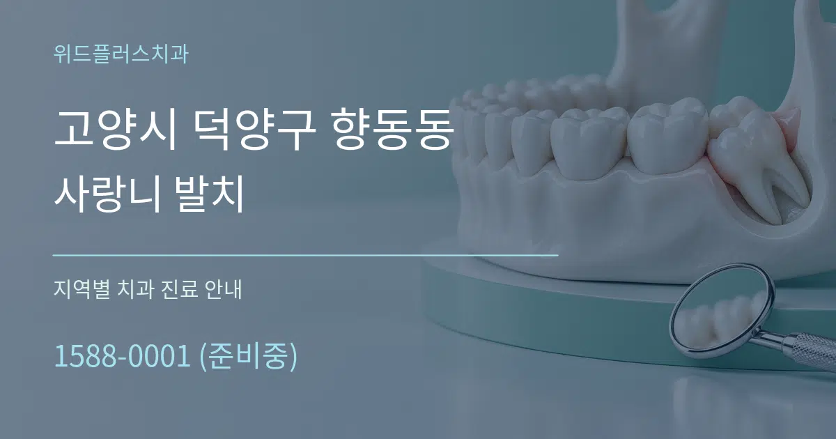 고양시 덕양구 향동동 사랑니 발치 대표 안내 그래픽