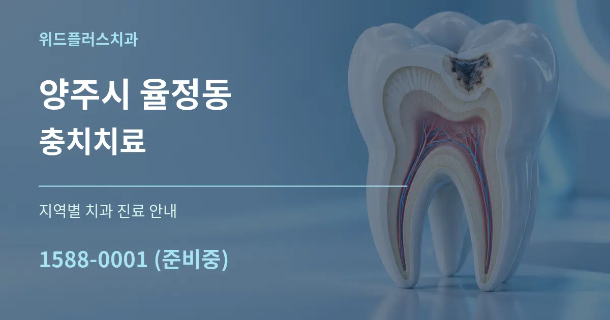 양주시 율정동 충치치료 대표 안내 그래픽