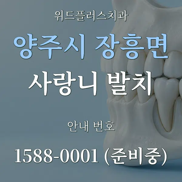양주시 장흥면 사랑니 발치 대표 안내 그래픽