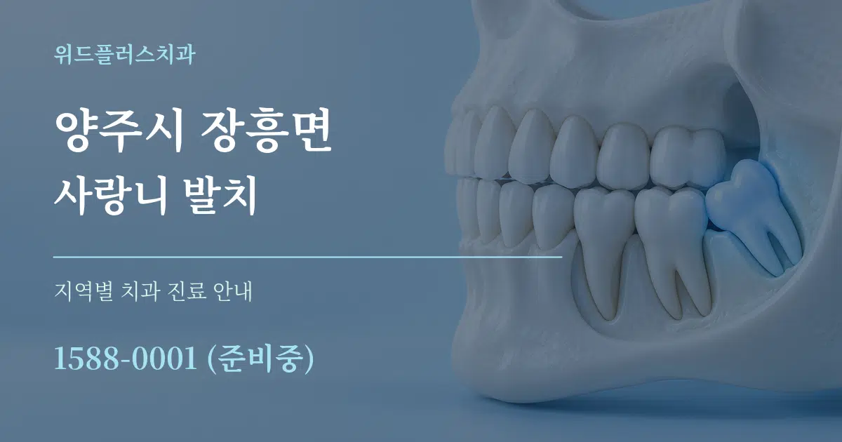 양주시 장흥면 사랑니 발치 대표 안내 그래픽