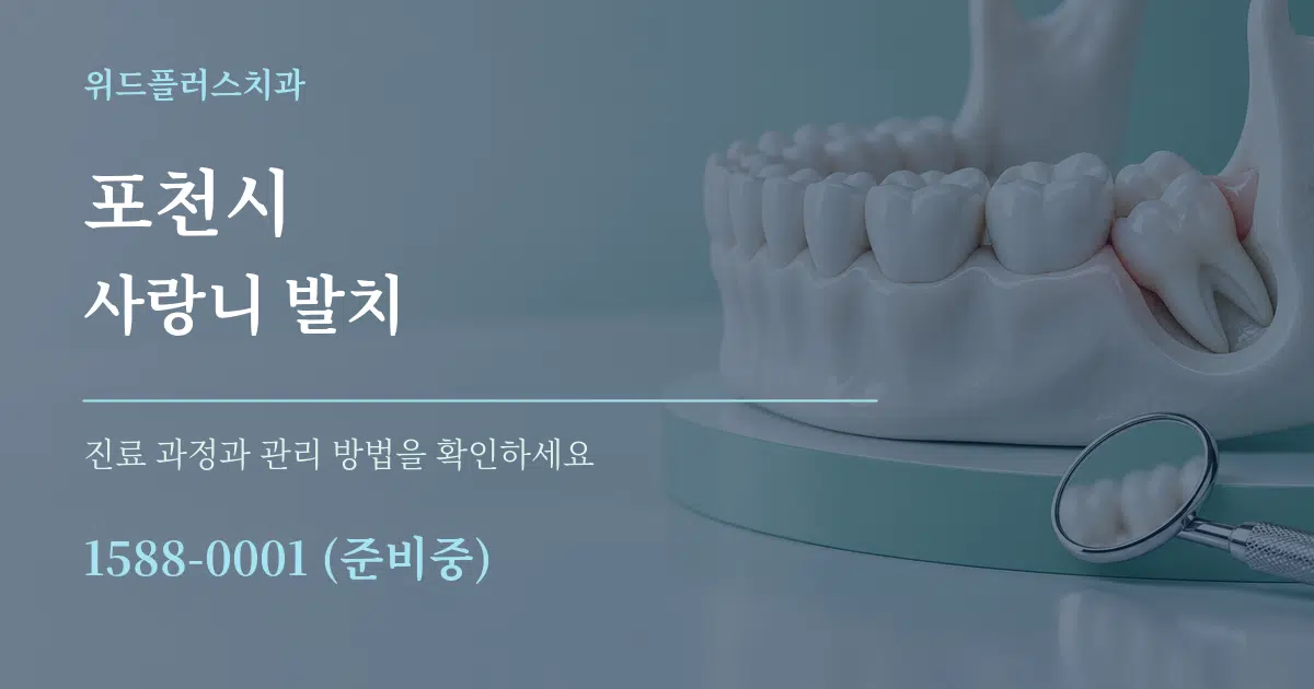 포천시 사랑니 발치 서비스 이용 안내 그래픽