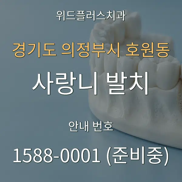 경기도 의정부시 호원동 사랑니 발치 대표 안내 그래픽
