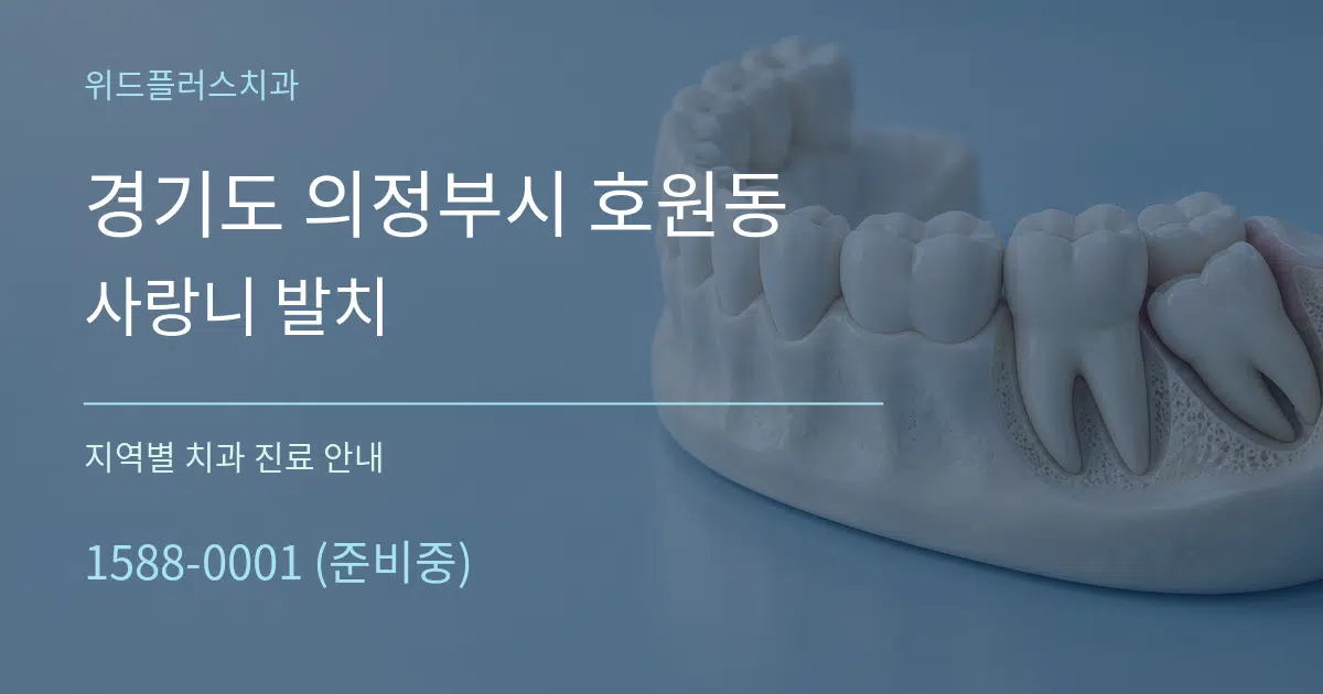 경기도 의정부시 호원동 사랑니 발치 대표 안내 그래픽