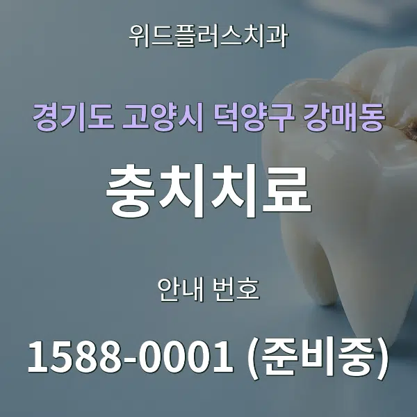 경기도 고양시 덕양구 강매동 충치치료 대표 안내 그래픽