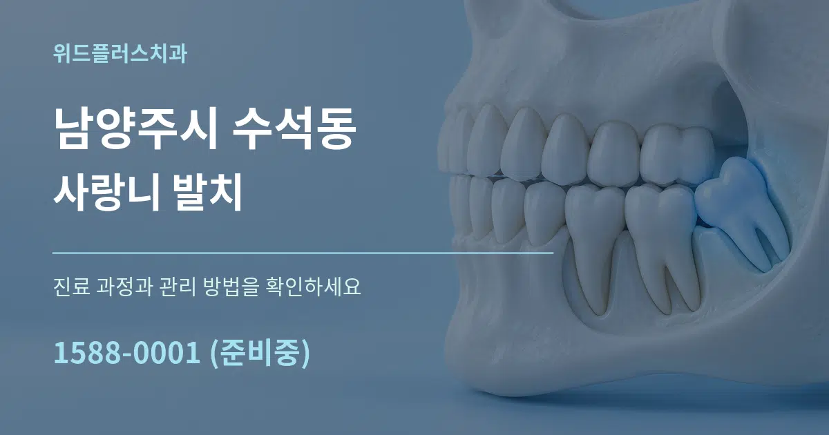 남양주시 수석동 사랑니 발치 서비스 이용 안내 그래픽